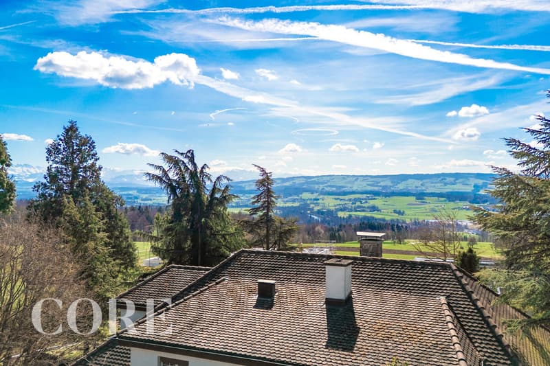 House with tiled roof, chimneys, surrounded by trees, overlooking a valley with mountains and a river
