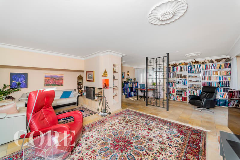 large living room, fireplace, bookshelves, red leather chair, white sofa, oriental rug, paintings