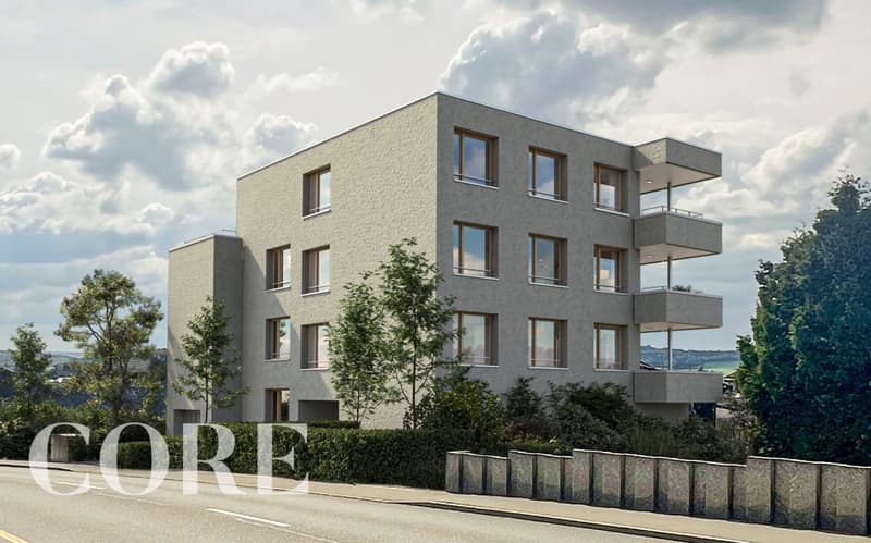 Ansicht von Birmensdorferstrasse her