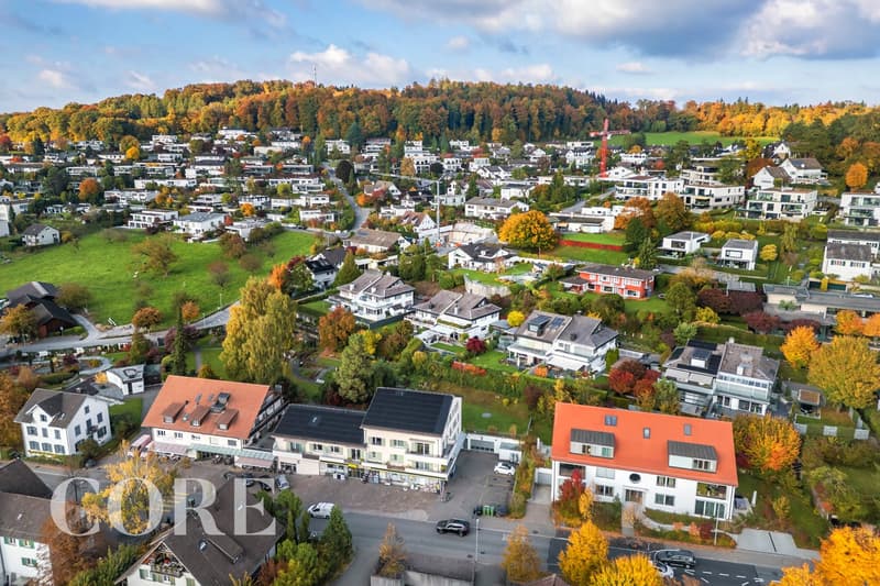 Sonnenhang von Uitikon Waldegg / Herbst 2025