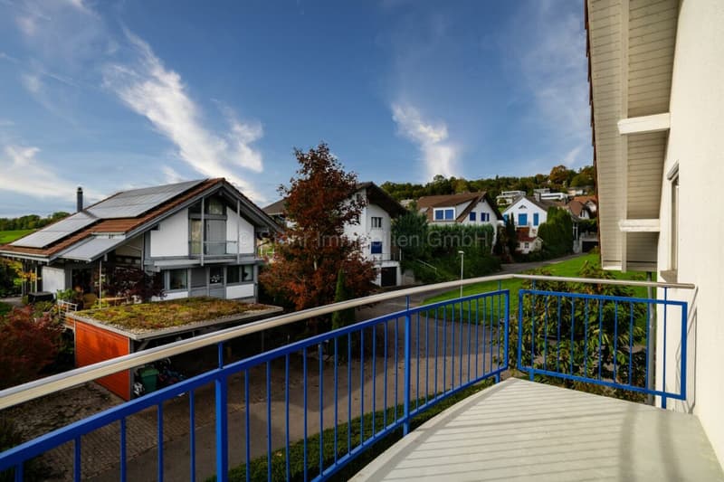 Exclusive 5.5 room detached house with pool - freestanding and comfortable (18)
