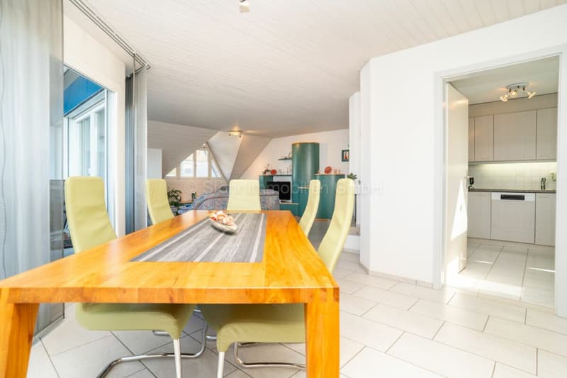 Appartamento luminoso di 5 ½ locali nel quartiere familiare (15)