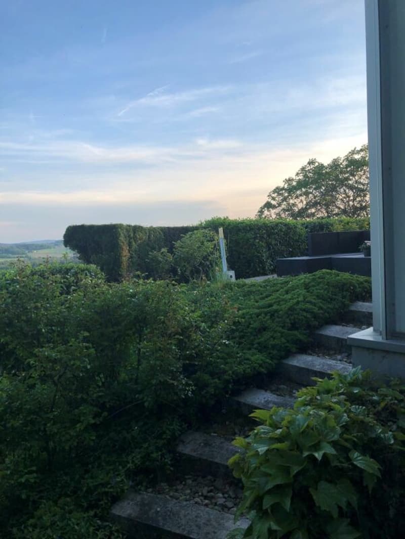 Freistehendes 6.5 Zimmer Haus mit Traumaussicht (26)
