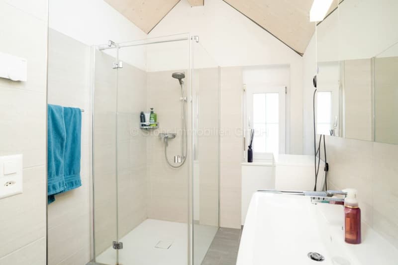 Topmodernes 5.5 Zimmer DEFH an ruhiger Lage (15)