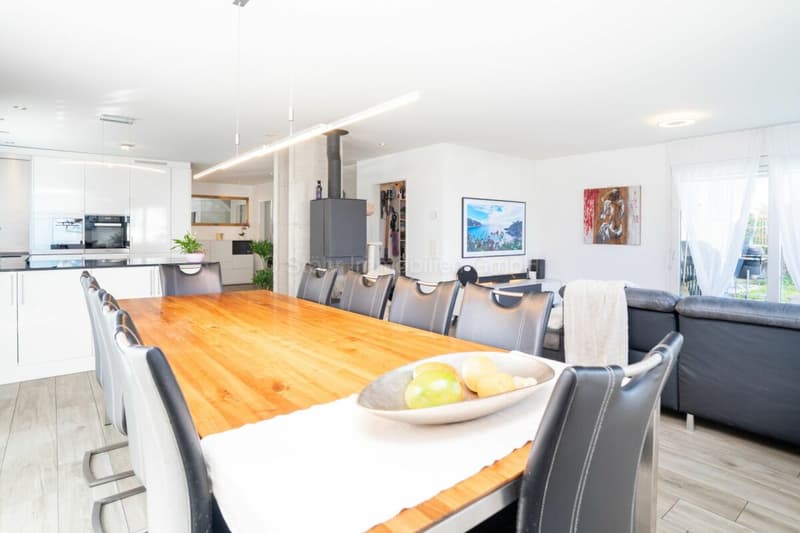 Topmodernes 5.5 Zimmer DEFH an ruhiger Lage (5)