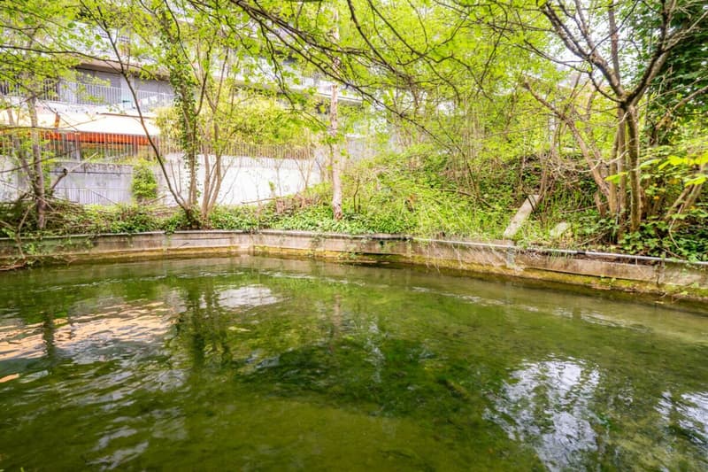 Gepflegte 2.5 Zimmer Wohnung mit grosszügigem Garten (22)