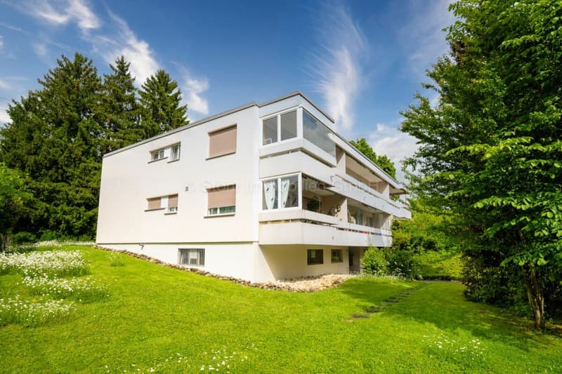 Hübsche 4.5 Zimmer Wohnung in familienfreundlichem Quartier (14)