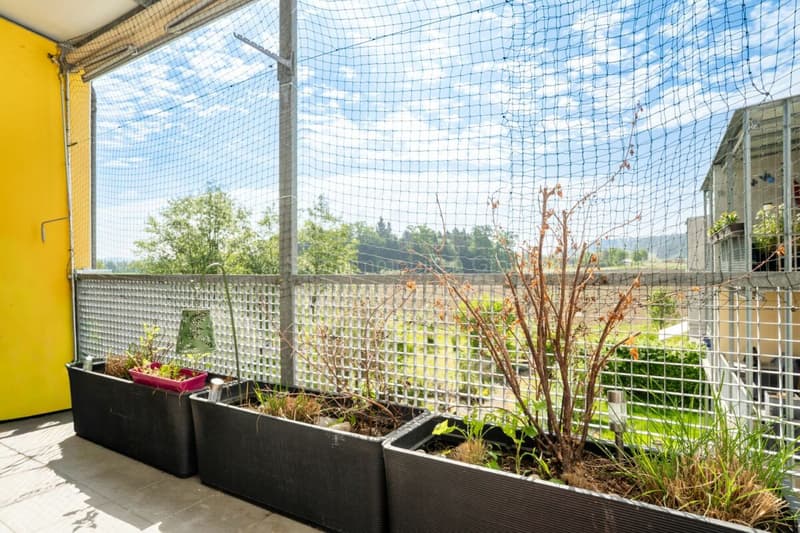 4.5 Zimmer Wohnung an schöner Lage in Seuzach (4)