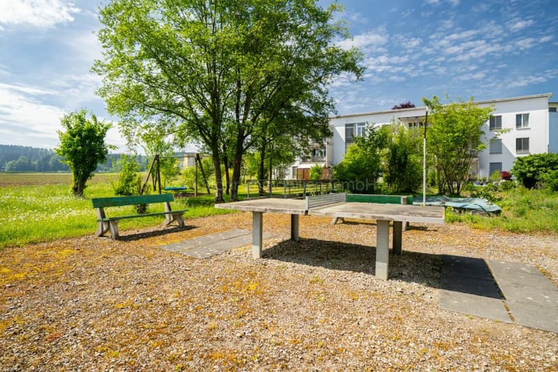 4.5 Zimmer Wohnung an schöner Lage in Seuzach (2)