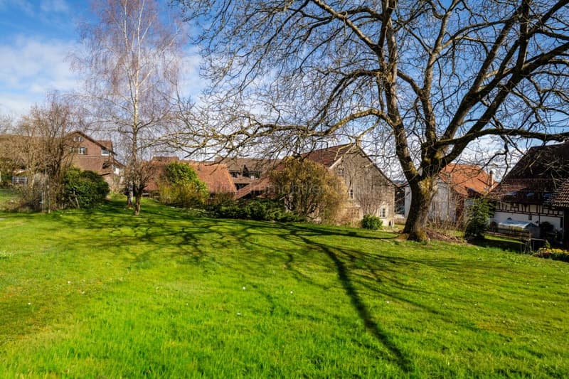 Bauland in Brütten mit historischem Bauernhaus und Entwicklungspotenzial (3)