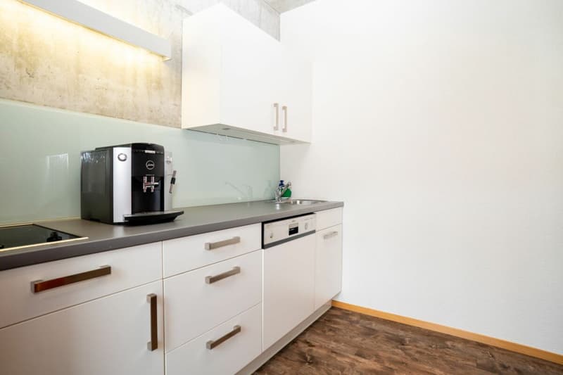 Urbane Loft mit Garten an zentraler Lage in Winterthur (7)