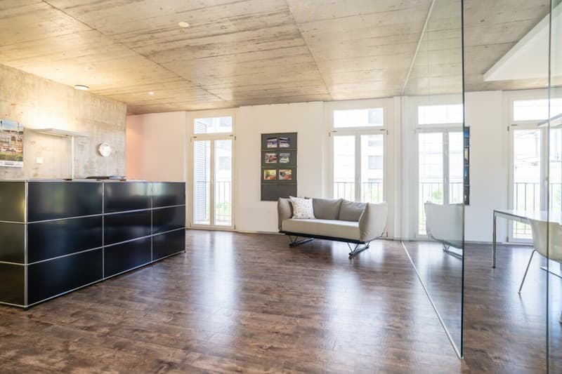 Urbane Loft mit Garten an zentraler Lage in Winterthur (6)
