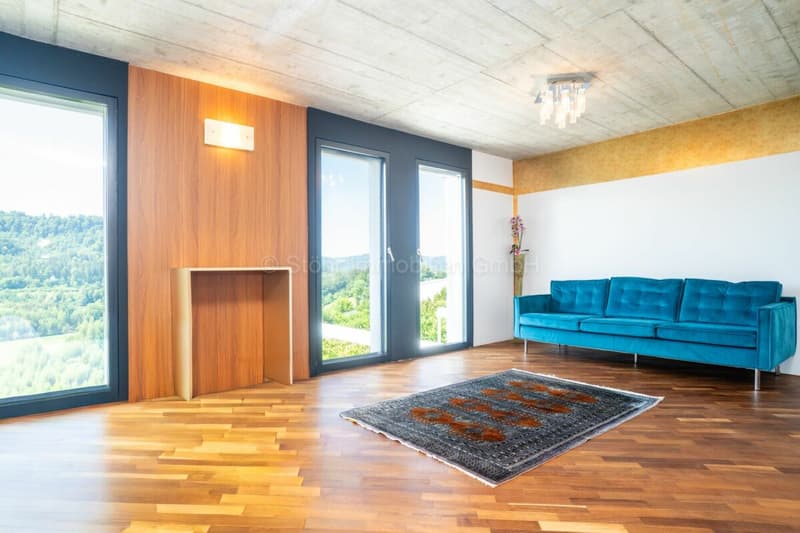 Elegante 10-Zimmer Villa mit aussergewöhnlicher Architektur (14)