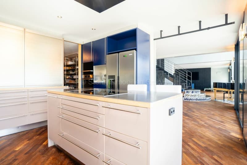 Elegante 10-Zimmer Villa mit aussergewöhnlicher Architektur (7)