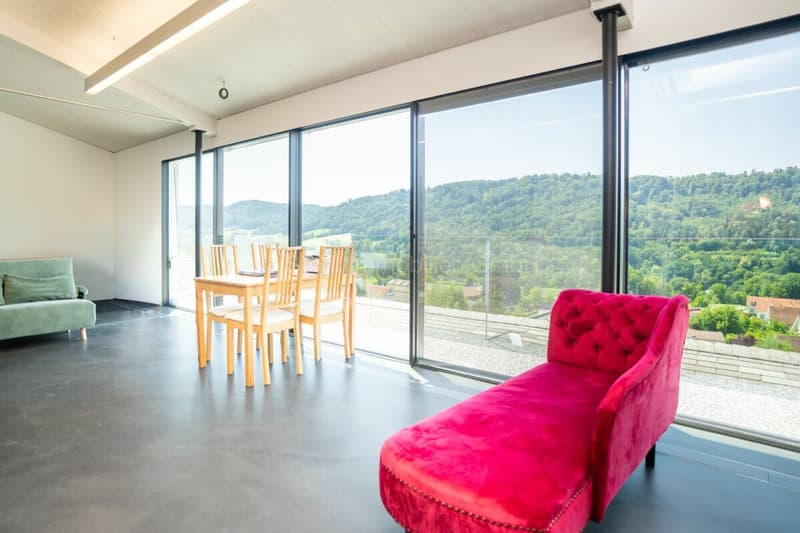 Elegante 10-Zimmer Villa mit aussergewöhnlicher Architektur (40)