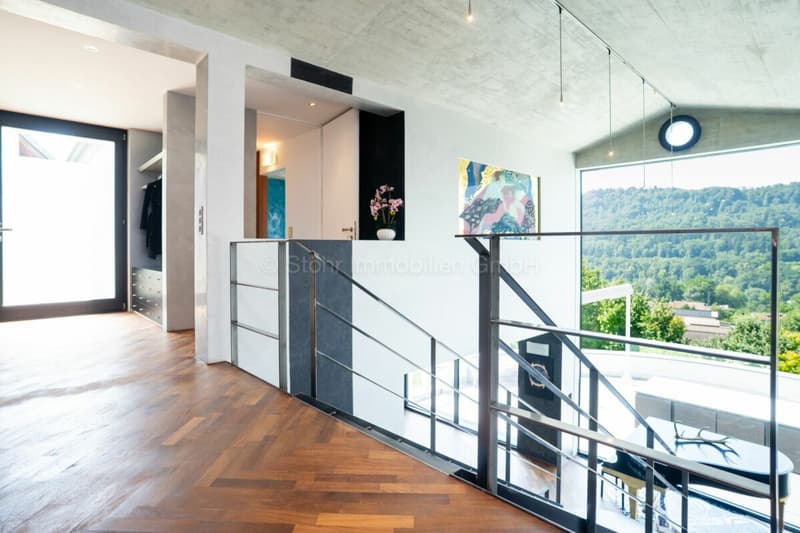 Elegante 10-Zimmer Villa mit aussergewöhnlicher Architektur (3)