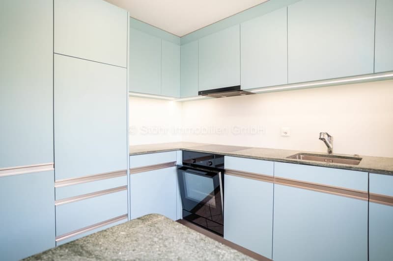 Gemütliches 4.5 Zimmer-Reihenmittelhaus im Guggenbühl (5)