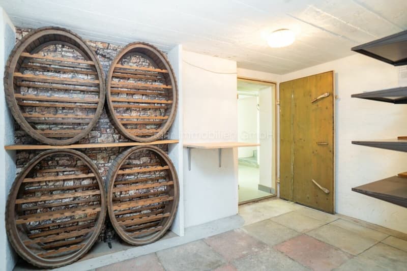 Gemütliches 4.5 Zimmer-Reihenmittelhaus im Guggenbühl (14)