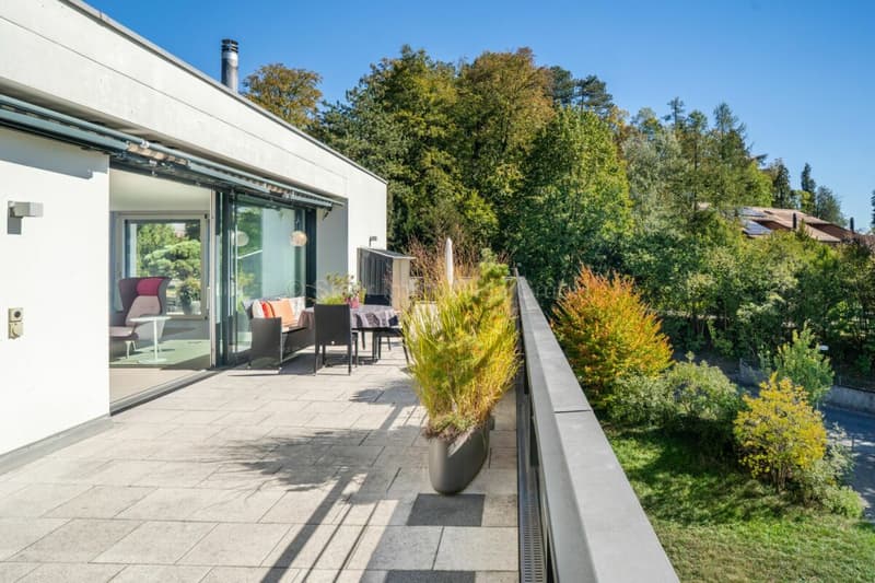 Urbane 4.5 Zimmer Attika-Wohnung mit 169 m² Terrassenfläche (17)
