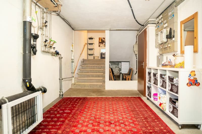 Grosszügiges 9.5-Zimmer-Mehrgenerationenhaus mit viel Platz und schönem Umschwung (26)