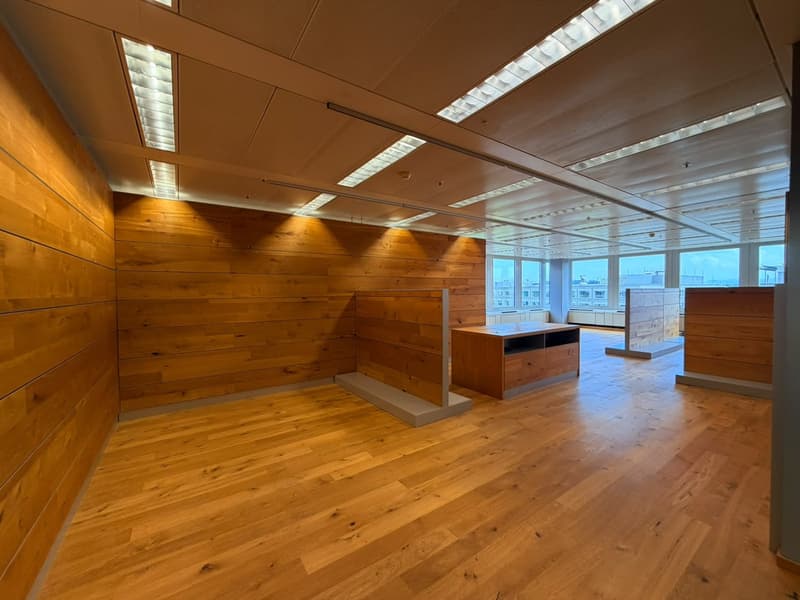 ZU VERMIETEN - Gewerbefläche 48 m² (2)