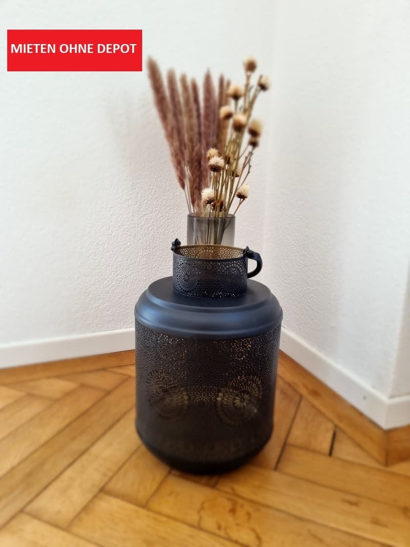 3 Zimmer-Wohnung, 8610 Uster (4)