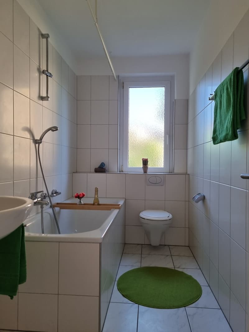 3 Zimmer-Wohnung, 8610 Uster (2)