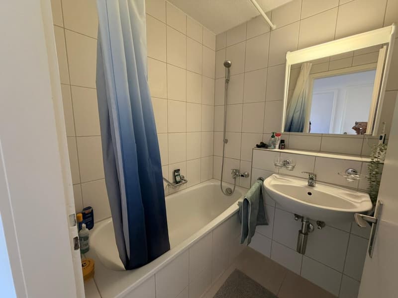 3-Zimmerwohnung im 3. OG - "Haustiere erlaubt" (4)