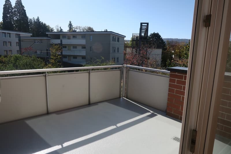 Ihre neue Wohlfühloase in Wallisellen (10)