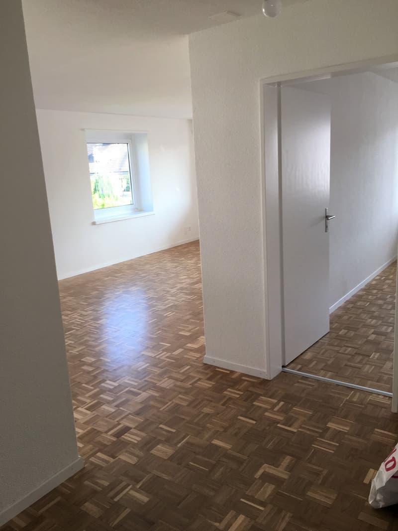 3 Zimmer-Wohnung in Schlieren mieten (6)