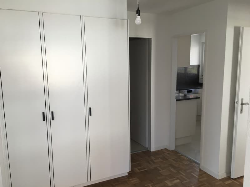 3 Zimmer-Wohnung in Schlieren mieten (5)