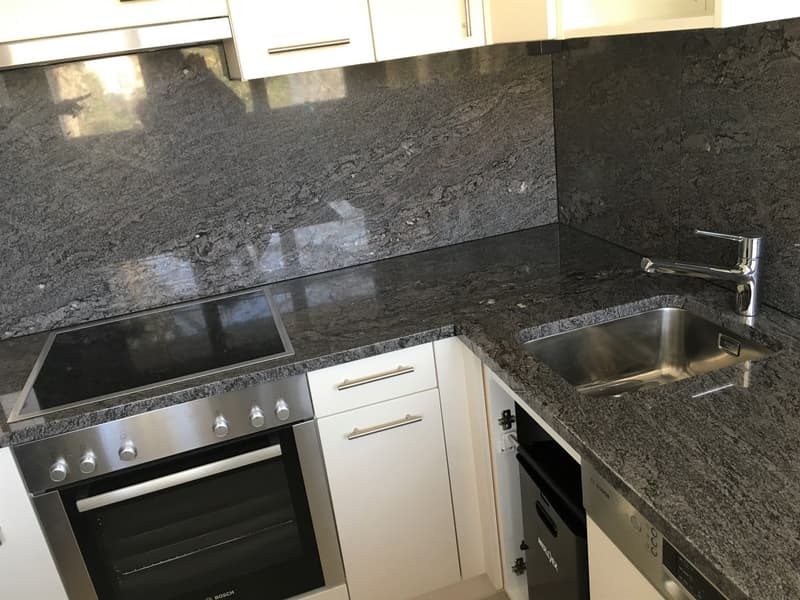 3 Zimmer-Wohnung in Schlieren mieten (2)