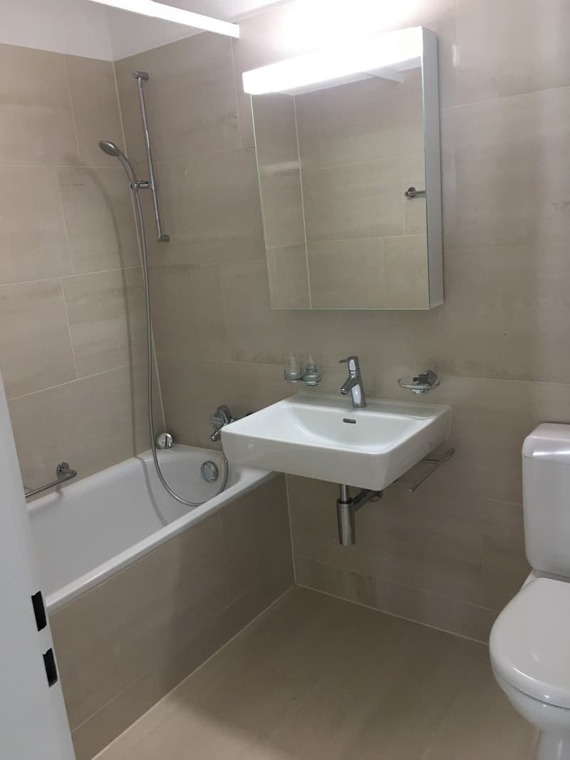 3 Zimmer-Wohnung in Schlieren mieten (3)