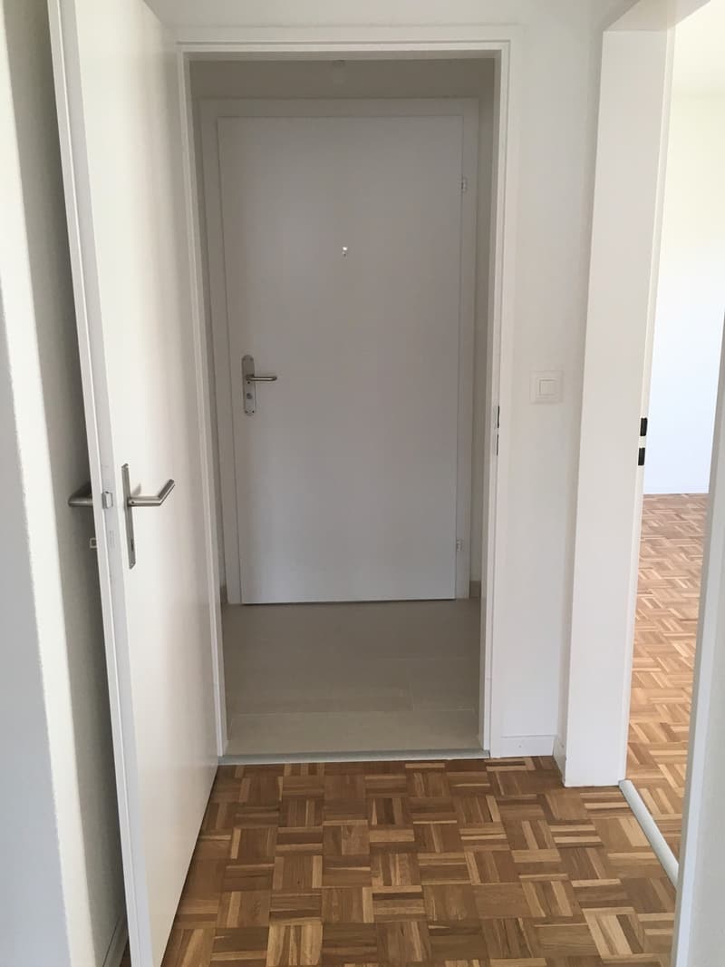 3 Zimmer-Wohnung in Schlieren mieten (4)