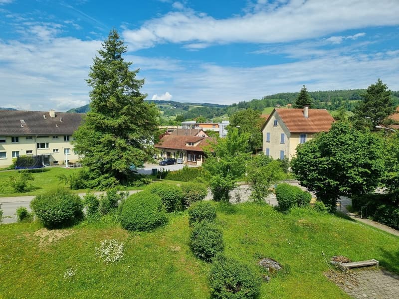 4 ½ Zimmer-Wohnung, 8413 Neftenbach (9)