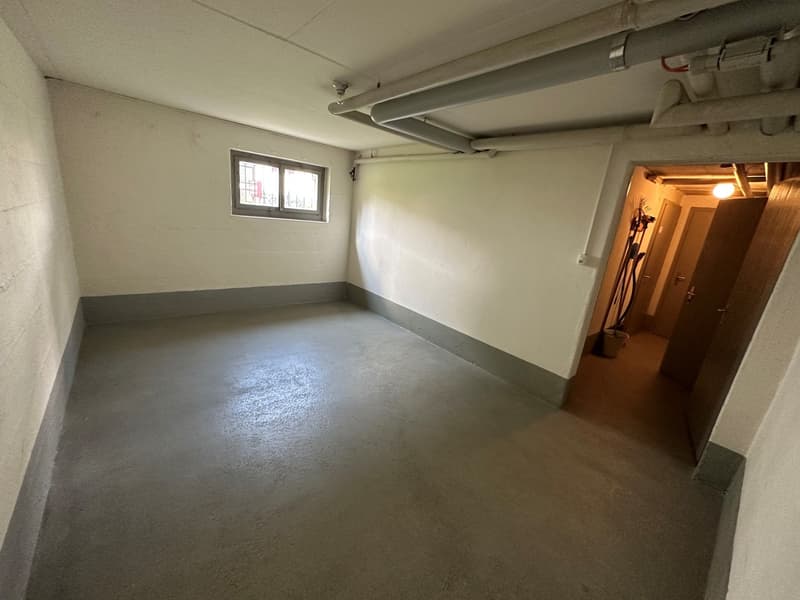 grosszügiger Lager-/Hobbyraum in Bassersdorf zu vermieten (1)