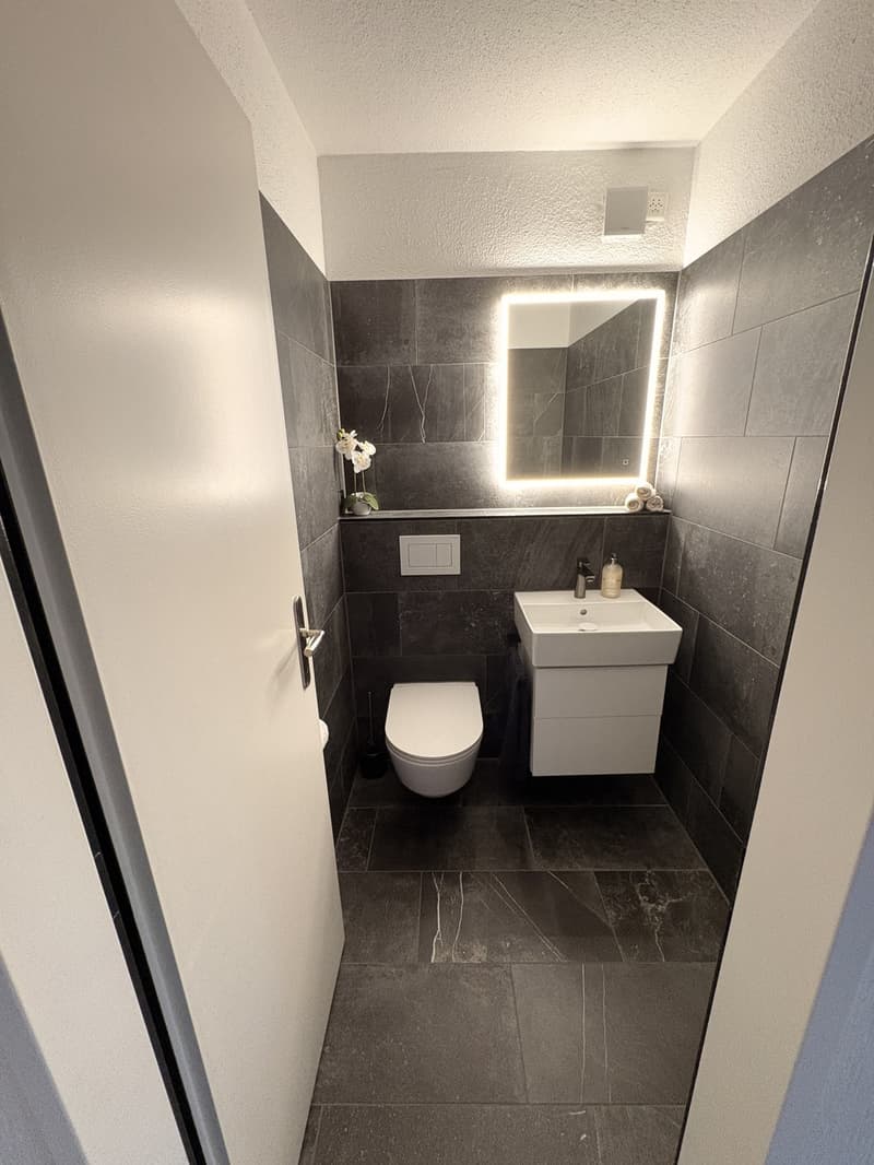 Attraktive 4.5-Zimmer-Maisonettewohnung mit grosser Terrasse und besonderer Architektur (8)