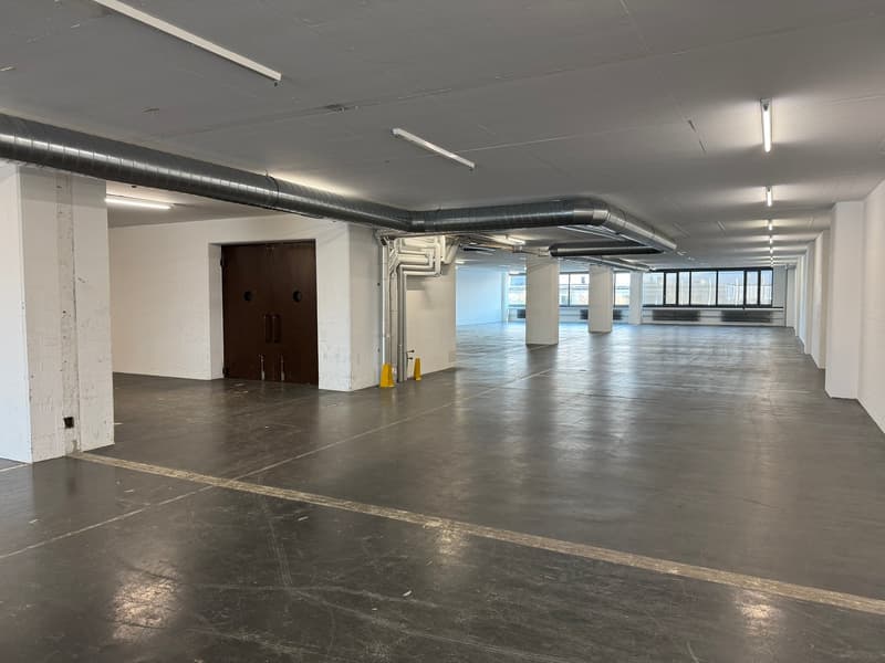 Gewerbefläche im 4. OG – 1'800 m² an der Riedstrasse 8, Dietikon (21)