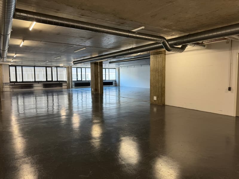 Gewerbefläche im 4. OG – 1'800 m² an der Riedstrasse 8, Dietikon (7)