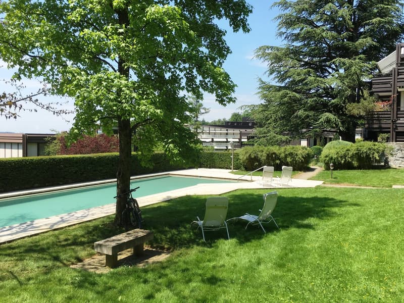 Pool mit Sicht Richtung Dolder Hotel. Links Aussicht nach Süden zur Albiskette und in die Berge