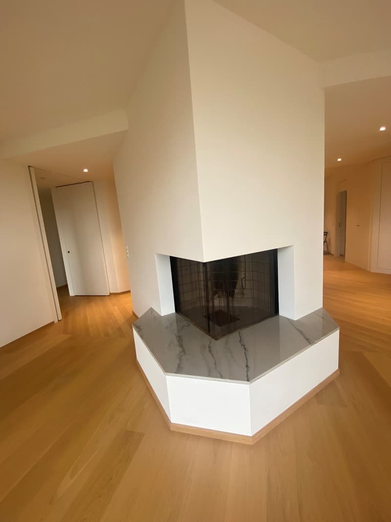 Exklusive Wohnung im Dolderquartier (4)