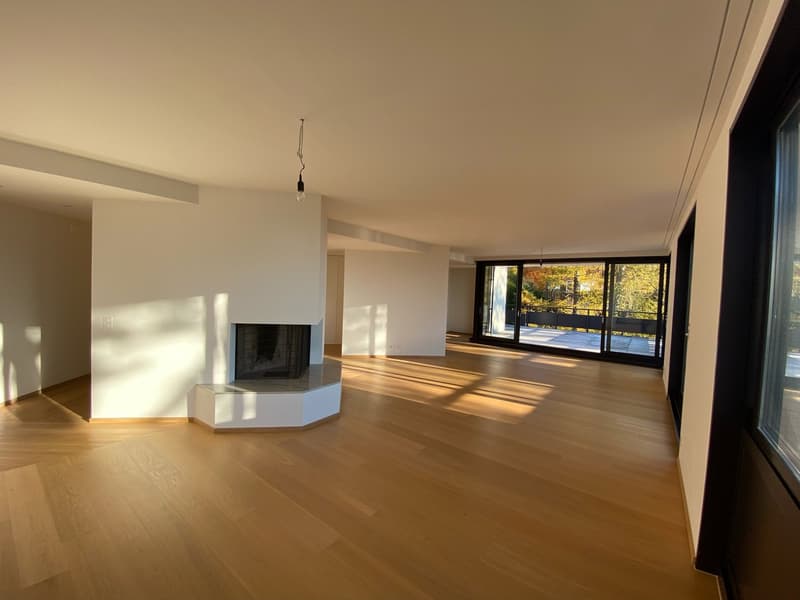 Exklusive Wohnung im Dolderquartier (11)