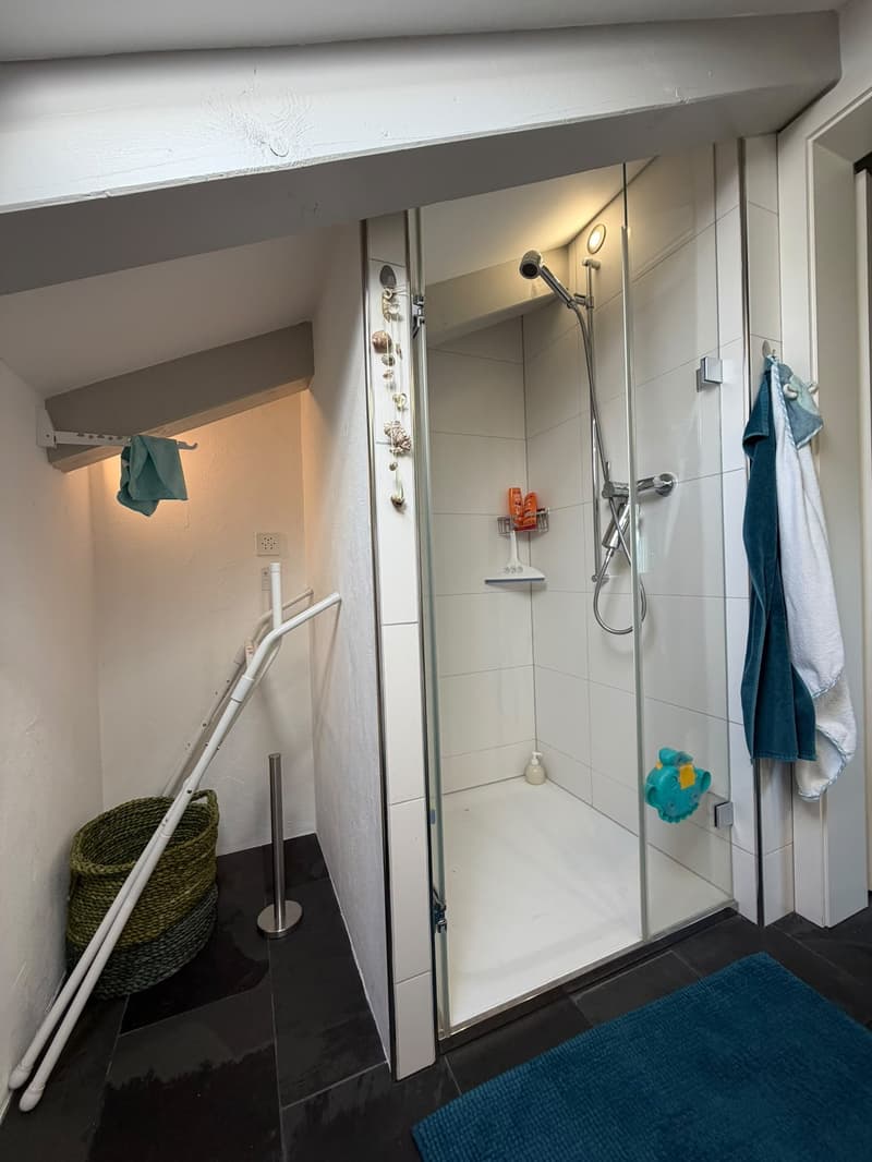 Charmante 4-Zimmer-Maisonette-Wohnung mit Garten und Aussicht in die Berge in Gossau ZH (19)