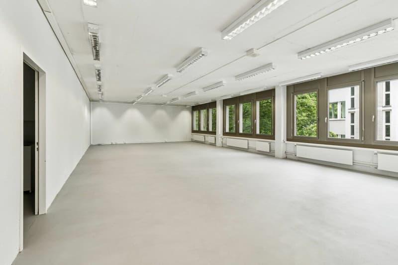 Attractive office space in the lively Binz quarter - open space on the 2nd floor (145 m²) (3)