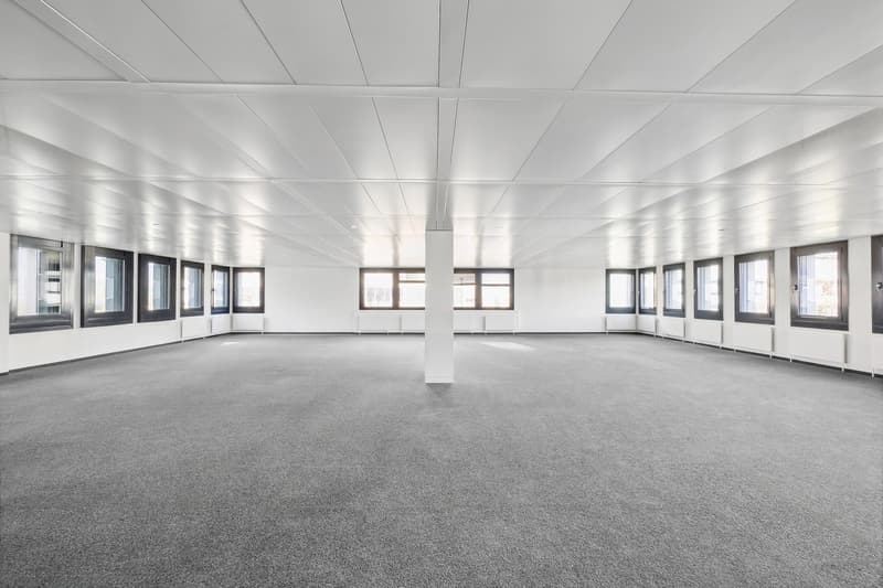 Large open office space with high ceilings, white walls, and a grid-like ceiling structure. The room has multiple windows along the walls and a concrete floor covered with gray carpeting.
