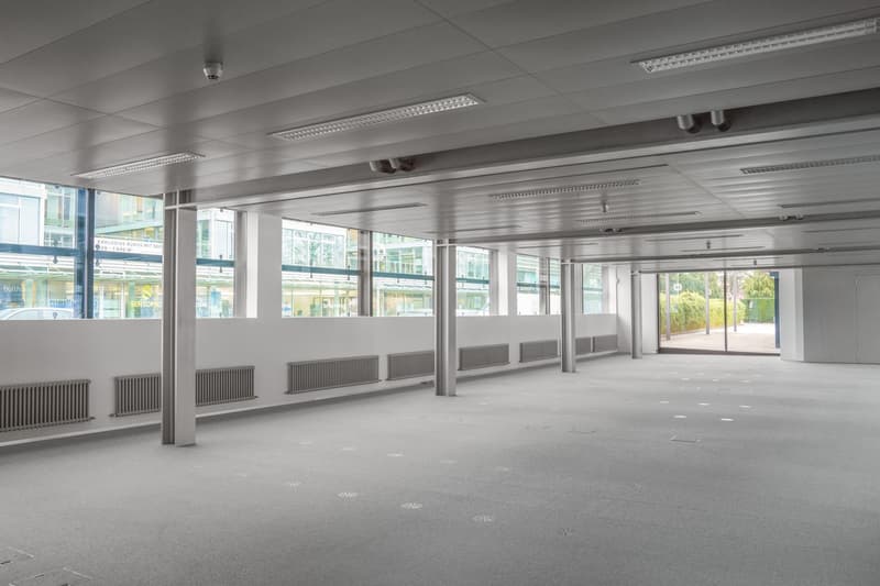 An empty office space with fluorescent ceiling lights, pillars, and windows.