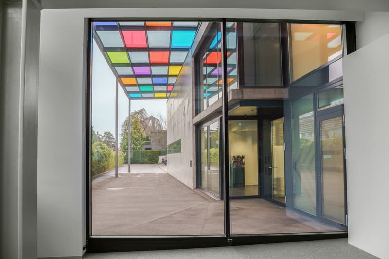 entrance to a building, large windows, glass door, colored glass roof, pavement, plants, greenery