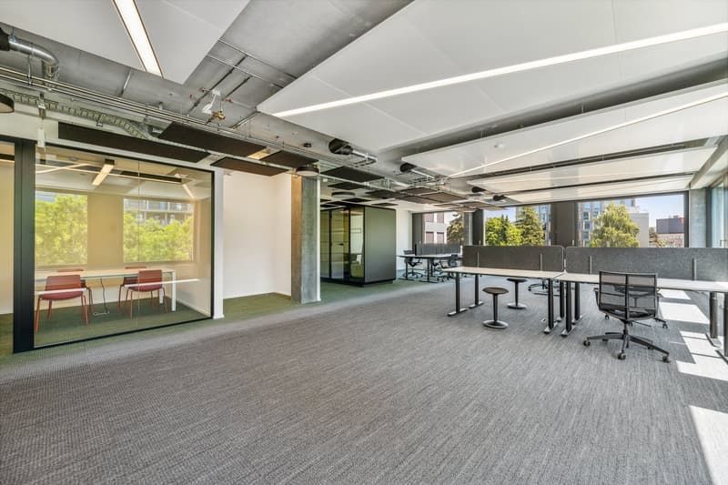 Open office space with partitioned cubicles, glass walls, carpeted floors, office tables, ergonomic chairs, tables in a row, glass doors, visible trees outside.