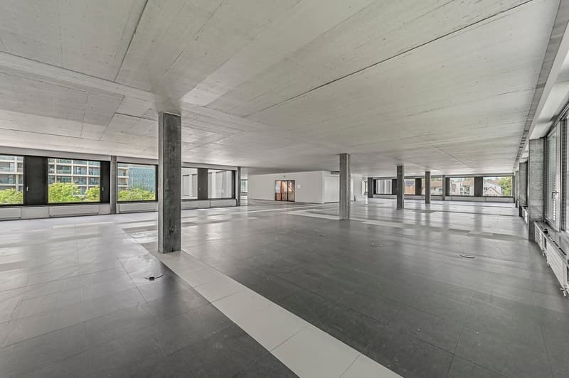 modern architecture, tile floor, large windows, exposed concrete columns, minimalist design, open space, bright