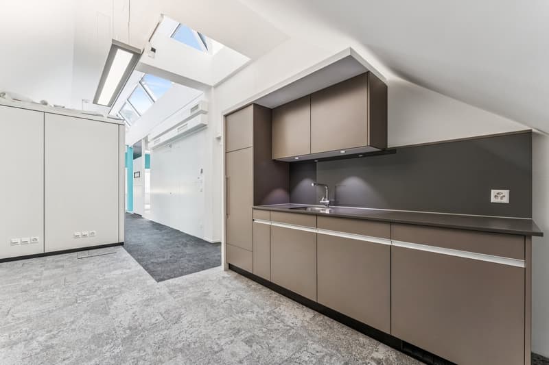 modern kitchen, stainless steel sink, electric outlets, modern cabinets, carpet, skylights, modern lighting